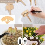 Peeornt Beginner Bonsai Tool Kit - Hình 5