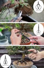 Peeornt Beginner Bonsai Tool Kit - Hình 3